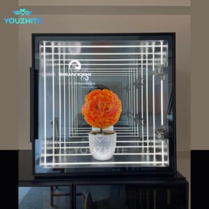 LED infinity mirror showcase